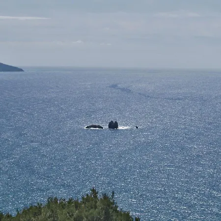 Lägenhet With Large Swimming Pool And Sea View At Corfu
